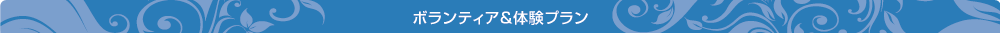 ボランティア＆体験プラン