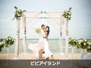 ピピアイランドⅡ